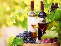 Agroturizam_san_mauro_-_sinkovic_wines_4-spotlisting